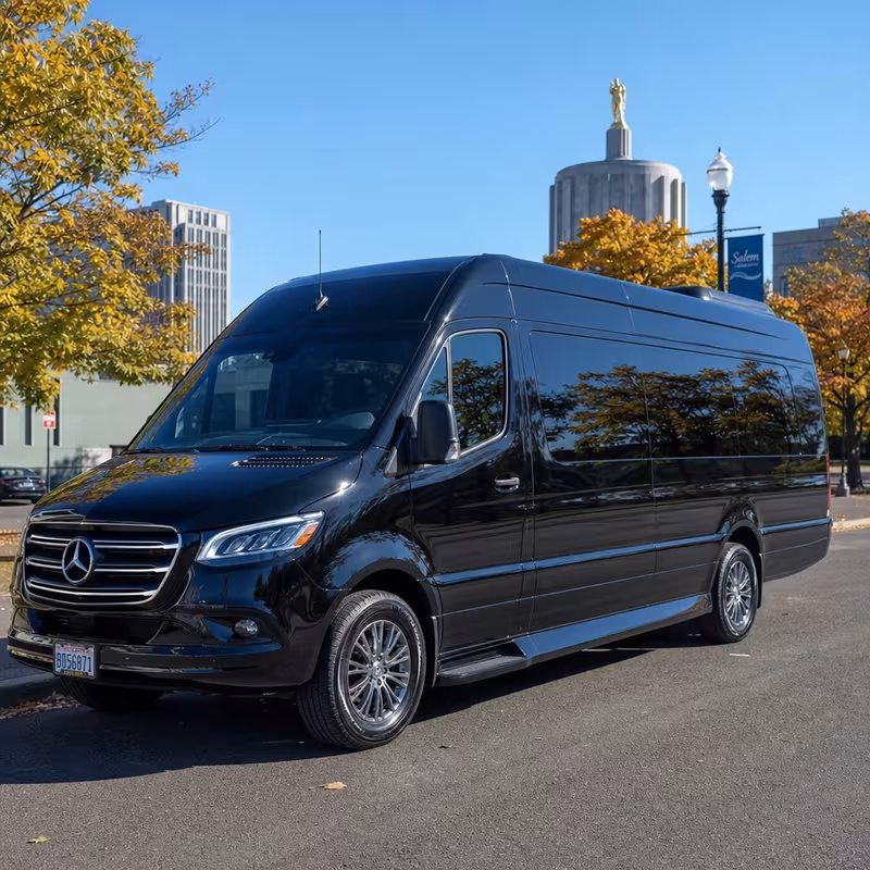 14 Passenger Sprinter Limo